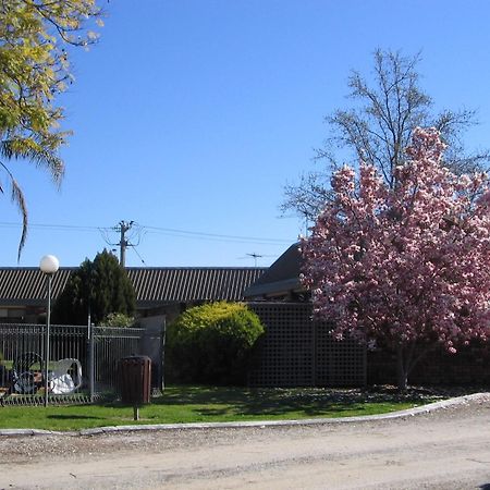 Belvoir Village Motel & Apartments Wodonga Exteriér fotografie